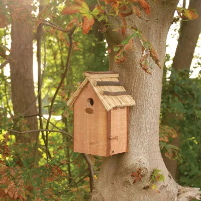 Attrezzi e attrezzature da giardino Casetta per gli uccelli da giardino Casetta per gli uccelli in legno non finita Casetta per nidi per uccelli